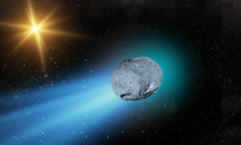 Unibfava: Exploring the Meaning, Potential, and Growing Curiosity Around Unibfava